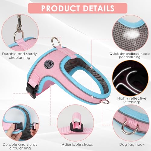 Dog Harness and Leash Set, No Pull Saddle Style Pet Harness, Breathable Mesh Adjustable Reflective Dog Vest for Medium Small Dogs Harness 2 D-Rings, Pink, S - color: Pink, size: S