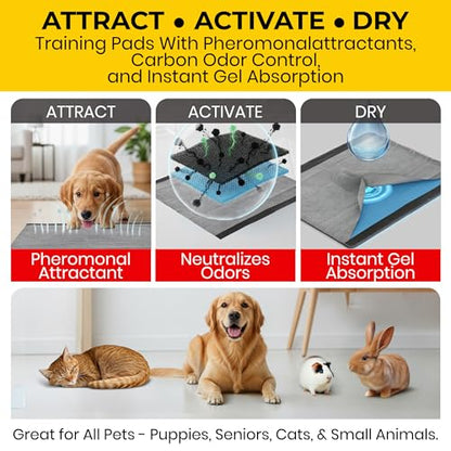 Glad for Pets Extra Large Charcoal Training Pads for Dogs and Puppies, Activated Carbon Odor Control, 6-Layer Absorbent Leak-Proof Pee Pads with Pheromone Attractant, 28 x 30 in, 30 Count - size: 30 Count (Pack of 1)