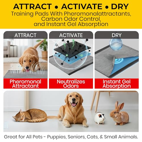 Glad for Pets Extra Large Charcoal Training Pads for Dogs and Puppies, Activated Carbon Odor Control, 6-Layer Absorbent Leak-Proof Pee Pads with Pheromone Attractant, 28 x 30 in, 30 Count - 6 Pack - size: 30 Count (Pack of 6)