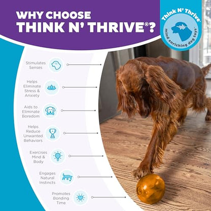 Outward Hound Orbee-Tuff Mazee Interactive Dog Puzzle Toy, Treat Dispensing Slow Feeder Ball, Orange, 4.7-Inch - color: Orange