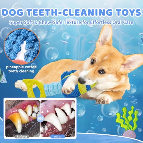 YZHDUXIU Fish Dog Squeak Toys, Elastic Band Tug of War Dog Toy with Crinkle | Plush fish with squeaker & crinkle fins; stretchy elastic band; soft PP cotton; gentle on teeth; for puppies medium adults - color: Blue Yellow Fish