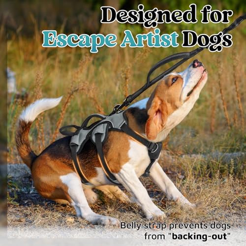 rabbitgoo Escape Proof Dog Harness, Soft Padded Full Body Pet Harness, Reflective Adjustable No Pull Vest with Lift Handle and Leash Clip for Large Dogs Walking Hiking Training, S, Grey - color: Grey, size: Small (Pack of 1)