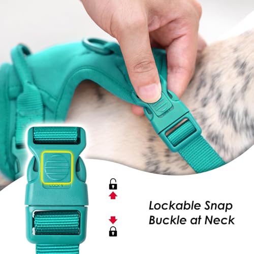 No Pull Dog Harness, Puppy Vest with Front Clip for Small Medium Large Sized Dog(MARRS Green,M) - color: MARRS Green, size: M(Neck:18.5-25.6", Chest:20.9-30.7")
