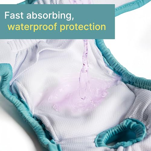 rocket & rex Washable Reusable Female Dog Diapers with Snaps (X-Small, 3ct) | Adjustable for a customized, snug fit. Includes liner pocket for extra absorbency. Guaranteed for 300 washes. - size: Extra Small