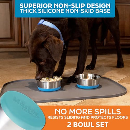 Master Pet Supply Stainless Steel Dog Bowls Set of 2 with Extra Thick Silicone Base - 4 Cup (32 oz) Aqua Sky, Non-Slip, Dishwasher Safe Metal Bowls, Pet Dog Food Bowl for Dogs, Cats, Anti Rust - color: Aqua Sky, size: 4 Cups (32 oz) 2 Pack