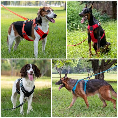 Plutus Pet No Pull Dog Harness, Release at Neck, Soft Padded, Reflective Adjustable Dog Vest Harness for Small, Medium, Large Dogs(Hot Pink, M) - color: Hot Pink, size: M