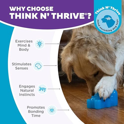 Outward Hound Gummiez Bear Dog Toy & Treat Stuffer, 4.7″ x 3″ Blue Raspberry-Scent Interactive Chew for Dogs, Promote Healthy Teeth, Gums & Mental Enrichment, Reduce Boredom & Support Dental Health - color: Bear