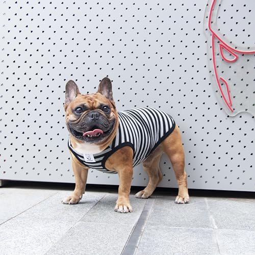 iChoue French Bulldog 100% Breathable Cotton Striped T Shirts Halloween Vest Clothes for Medium Dogs Tank Tops Frenchie Pug English Boston Terrier Pitbull Grey Black Stripes - Large Plus - color: Classic Stripe Black Grey, size: Large Plus ( 35 - 45 lbs )