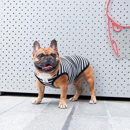 iChoue French Bulldog 100% Breathable Cotton Striped T Shirts Halloween Vest Clothes for Small Dogs Tank Tops Puppy Frenchie Pug English Boston Terrier Pitbull Grey Black Stripes - Medium - color: Classic Stripe Black Grey, size: Medium ( 15 - 25 lbs )