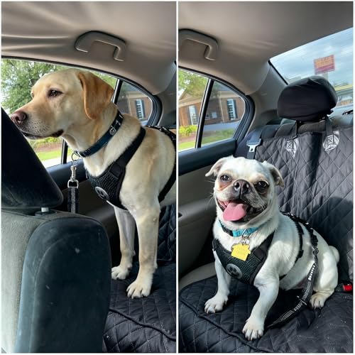 Dog Car Seat Belt Harness - Adjustable Mesh Breathable Safety Tether with Elastic Bungee for Small Medium Large Pets（S - size: S