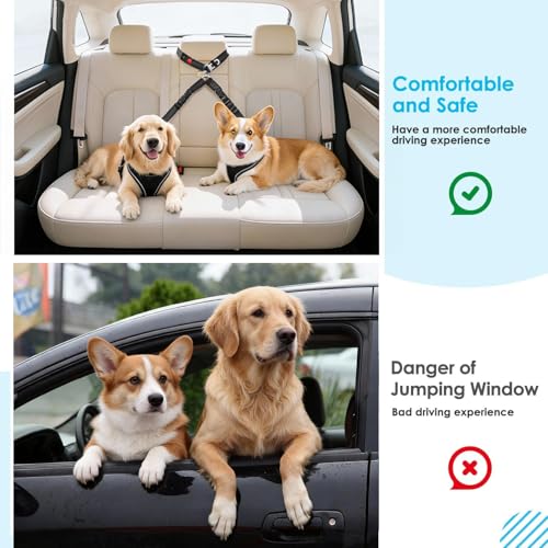 Double Dog Seat Belt for Car, Adjustable Headrest Restraint Safety Seatbelt with Reflective Bungee & Tangle-Free Swivel, No-Pull Split Leash for Vehicle Travel & Walking 2 Dogs, Black