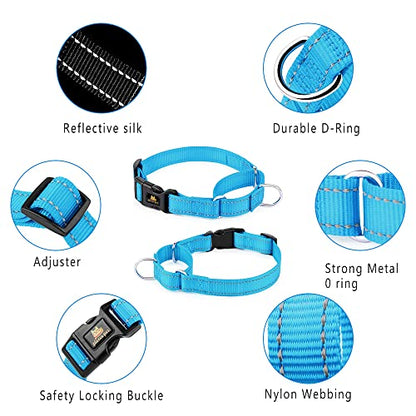 PLUTUS PET Reflective Martingale Collar with Quick Snap Buckle,No Pull Dog Choker Collar for Small Medium Large Dogs,XS,Blue - color: Blue, size: XS：10"-12"