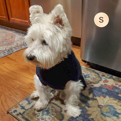 KYEESE Dog Sweater with Leash Hole Warm Pullover with Reflective Yarn for Small and Medium Dogs Male Soft Knit Pullover Boy Dog Coats Cozy Lightweight Thick Sweater,Navy Blue,Medium - color: 1# Navyblue, size: M (24-30lbs)