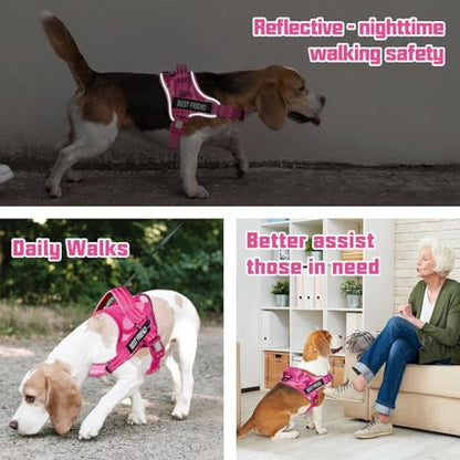 AUROTH Dog Harness and Leash Set, Soft Padded Service Dog Vest with 5.25FT Dog Leash, No Choke, Easy On Pet Vest, Adjustable Reflective No Pull Dog Harness for Large Dogs, Easy Walking and Training - color: Pink Camo, size: Large