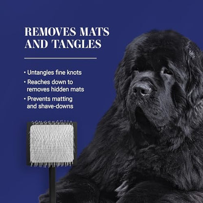 Chris Christensen Big K Dog Slicker Brush for Dogs (Goldendoodles, Labradoodles, Poodles), Groom Like a Professional, Fluff Detangle Style, Saves Time Energy, Black, Medium - color: Black, size: Medium