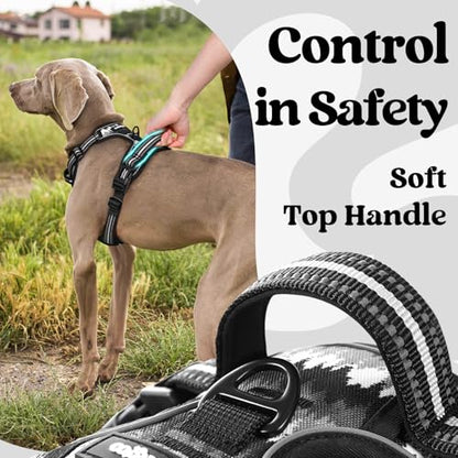 rabbitgoo Dog Harness Small Sized, No Pull Easy On & Off with 3 Buckles Pet Harness, Adjustable Soft Walking Vest with 2 Clips and Handle, Reflective for Small Dogs, Mountain Black, S - color: Mountain Black, size: Small