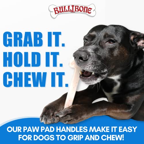 Bullibone Nylon Dog Chew Toy for Aggressive Chewers - Dental Hygiene Bone with Bacon Flavor, Durable Tough Chew Toys for Large Dogs, Indestructible Dog Bone - 3 Pack - size: Large - 3 Pack