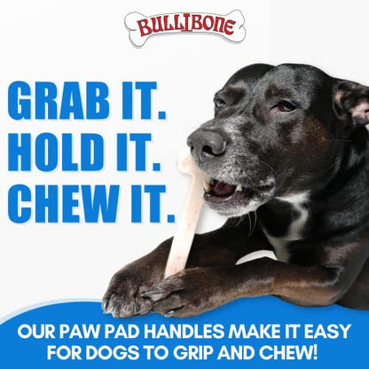 Bullibone Nylon Dog Chew Toy for Aggressive Chewers - Dental Hygiene Bone with Bacon Flavor, Durable Tough Chew Toys for Small Dogs, Indestructible Dog Bone - 3 Pack - size: Small - 3 Pack