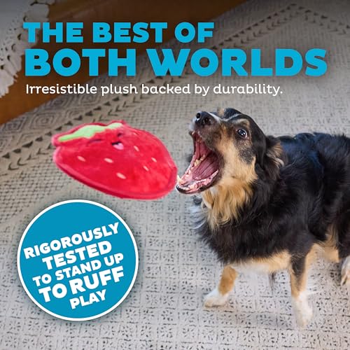 Outward Hound Tough Skinz Durable Squeaky Dog Toy with Two Tough Layers, Strawberry, Red, Medium - color: Strawberry, size: Medium