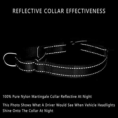 PLUTUS PET Reflective Martingale Collar with Quick Snap Buckle,No Pull Dog Choker Collar for Small Medium Large Dogs,XS,Black - color: Black, size: XS：10"-12"