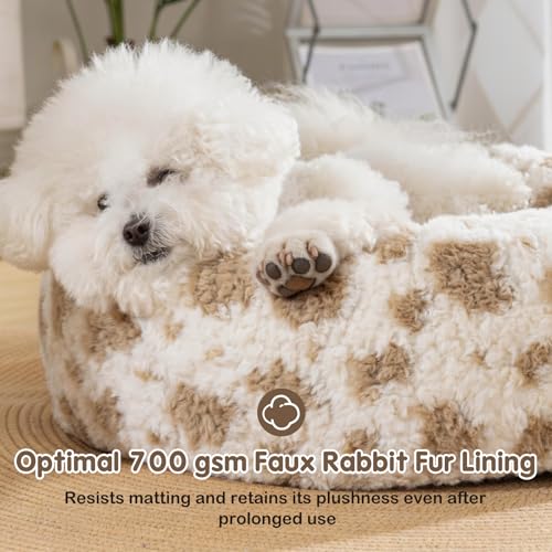 Avont Washable Donut Dog Bed with Removable Cover, Orthopedic Mixed Memory Foam Round Pet Bed, Ultra-Thick Faux Rabbit Fur Calming Cushion for Small, Medium Dogs - size: S ( 23")