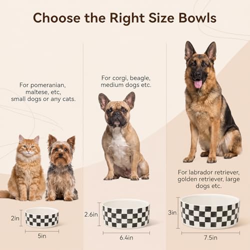 6.4 inch Ceramic Hand Painted Basic Dog Bowl Set of 2 with Anti-Skid Rubber Base, Food and Water Bowls for Small Pets,Black - color: Black