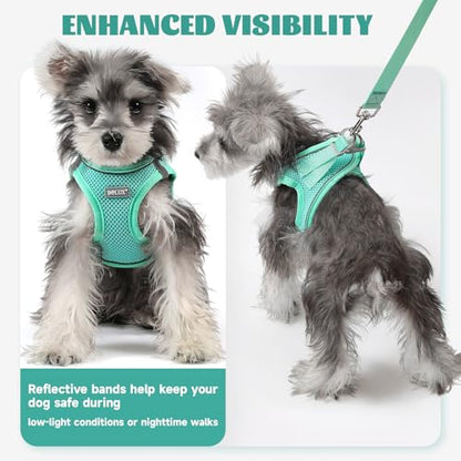 Dog Harness Small Sized and Leash Set, Step in Soft Light Puppy Vest, Breathable Mesh Pet Harness, Reflective for Safe Easy Walking. - color: Blue, size: X-Small (Pack of 1)