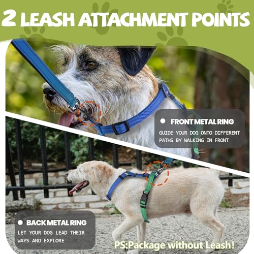 Roses&Poetry Dog Harness Small Sized Dog, 6 Point Adjustable Fit No Pull Harness with Handle for Control and Easy Walking, Reflective Pet Halter Harnesses（Bluegreen-S） - color: BlueGreen, size: S