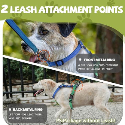 Roses&Poetry Dog Harness Small Sized Dog, 6 Point Adjustable Fit No Pull Harness with Handle for Control and Easy Walking, Reflective Pet Halter Harnesses（Bluegreen-S） - color: BlueGreen, size: S