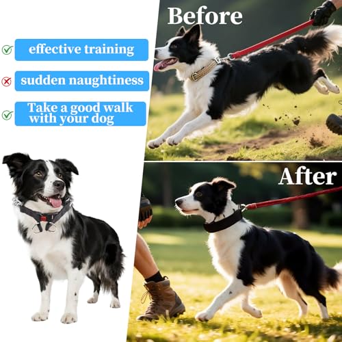 Reflective Dog Training Collar with Quick Release Buckle,Adjustable Stainless Steel Dog Collar with Soft Nylon Cover for Small Medium Large Dogs(Blue,M(16-19" Neck,3mm)) - color: Blue, size: M