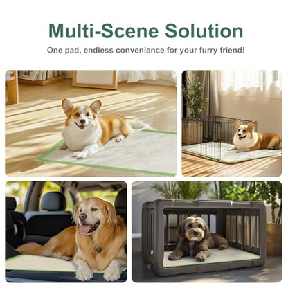 Dog Pee Pads 50Counts, 24"X36" Disposable Pee Pads for Dogs with 4 Sticky Corners, Leak-Proof 6Layers Thicken Puppy Pee Pads Extra Large, Non-Slip Puppy Training Pads for Crate/Cage/Carrier - size: 24" x 36" (50 Ct)
