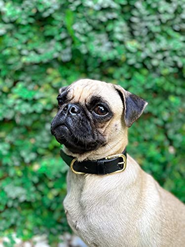 Tuff Pupper Classic Heavy Duty Dog Collar | 10x Stronger Than Leather | 100% Waterproof & Odor Proof Dog Collar | Tough Rust-Proof All Metal Hardware - color: Epic Black