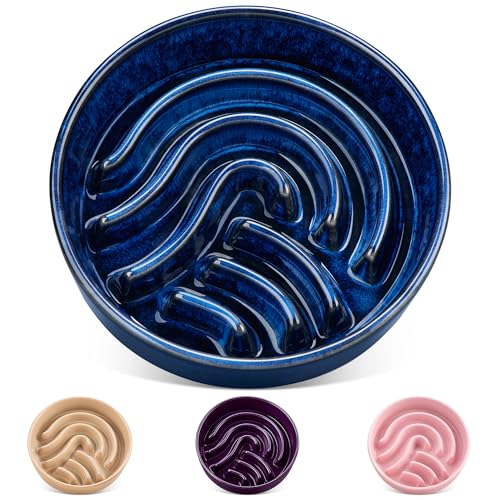 vancasso Slow Feeder Dog Bowl, 3 Cup Ceramic Slow Feeding Food Dish for Large Breed, Puzzle Dog Food Bowl for Fast Eater, Blue - color: Blue, size: L - 3 Cups