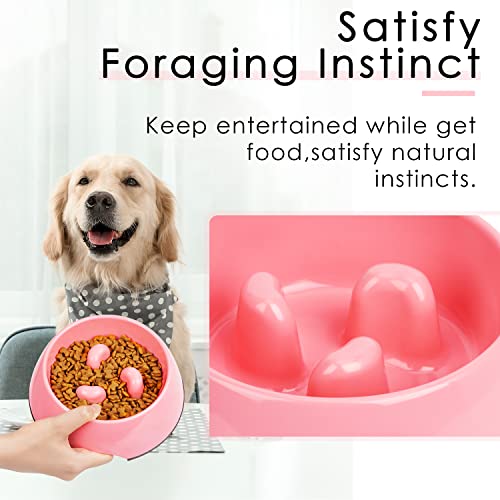 Super Design Slow Feeder Dog Bowl, 1.5 Cup, Nonslip, Heat-Resistant, Suitable for Medium to Large Dogs - color: Rose, size: L