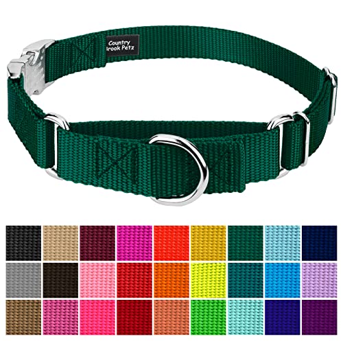 Country Brook Petz - Martingale Dog Collar - Heavy Duty Nylon Adjustable Martingale Dog Collar with Premium Buckle for Small Medium Large Breeds (5/8 Inch, Extra Small, Green) - color: Green, size: Extra Small (Pack of 1)