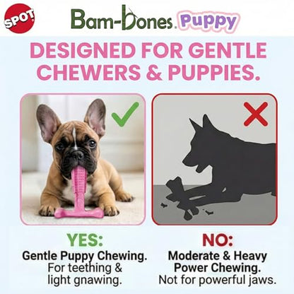 SPOT Bam-Bones Puppy T-Bone Dog Chew Toys, Chicken Flavor, 4 Inch, 2 Pack, Bamboo Fiber & Flexible Rubber, Easy Grip Design for Gentle Chewers, Puppies & Small Dogs Up to 15 lbs