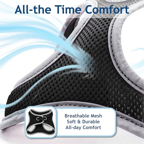 Kruz Dog Harness (Chest 14.5"-15.5", Weight 6–10 lbs) Athletica Adjustable Heavy Duty No Choke Puppy Vest for Small Dogs Lightweight Air Mesh, Reflective, Puppy Essentials – Black, Small - color: Black, size: Small