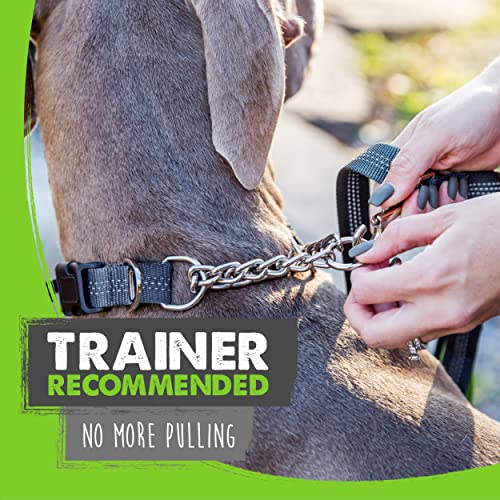 Mighty Paw Martingale Dog Collar 2.0 | Trainer Approved Limited Slip Collar with Stainless Steel Chain & Heavy Duty Buckle - Modified Cinch Collar for Gentle & Effective Pet Training - Medium, Grey - color: Grey, size: Medium