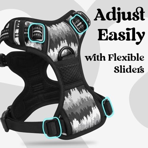rabbitgoo Dog Harness Small Sized, No Pull Easy On & Off with 3 Buckles Pet Harness, Adjustable Soft Walking Vest with 2 Clips and Handle, Reflective for Small Dogs, Mountain Black, S - color: Mountain Black, size: Small