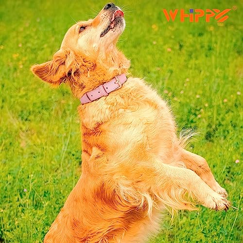 WHIPPY Leather Dog Collar for Small Medium Large Dog Adjustable Soft Breathable Leather Padded Puppy Collar with Alloy Buckle Heavy Duty Waterproof Classic Dog Pet Collar,Pink,XS - color: pink, size: XS:8" - 11"(0.59"width)
