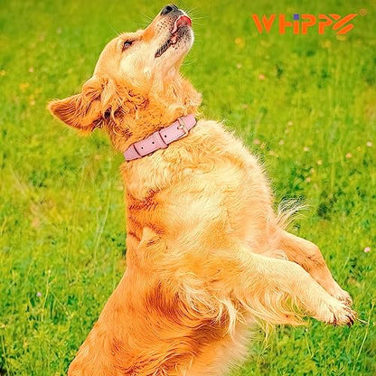 WHIPPY Leather Dog Collar for Small Medium Large Dog Adjustable Soft Breathable Leather Padded Puppy Collar with Alloy Buckle Heavy Duty Waterproof Classic Dog Pet Collar,Pink,XS - color: pink, size: XS:8" - 11"(0.59"width)