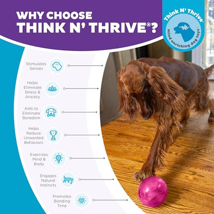 Outward Hound Orbee-Tuff Mazee Interactive Dog Puzzle Toy, Treat Dispensing Slow Feeder Ball, Pink, 4.7-Inch - color: Pink