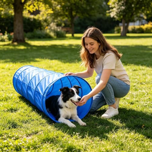 Agility Trainer with Tunnel | Agility Training Equipment for Dogs | Dog Park Equipment | for Outdoor Garden Park Beach Playground Field Competition Recreation - color: A