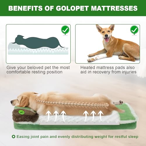 GOLOPET Cat Heating Pad 28x18 in Pet Heating Pads for Cats，Waterproof Smart Thermostat Switch, Adjustable Heated Cat Bed (Green, 34.0" L x 23.0" W x 0.5" Th) - color: green, size: 34 x 23 in