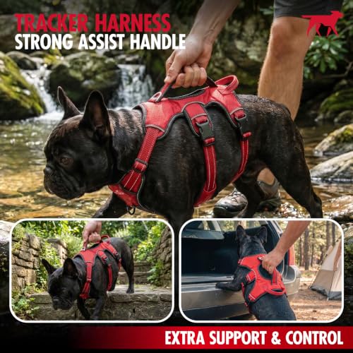 Tuff Pupper Escape Proof No Escape Dog Harness | 5 Point Adjustable Fit Harness for Dogs | Padded Dog Harnesses | Handle Dog Lift Harnesses - color: Steel Grey, size: Medium: 22-27 Inch Chest