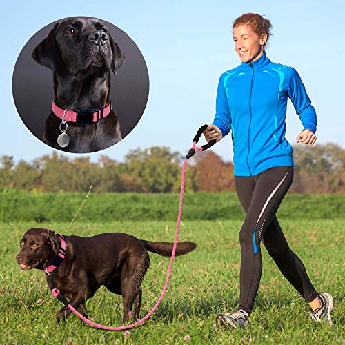 Ladoogo Reflective Dog Collar Padded with Soft Neoprene Breathable Adjustable Nylon Dog Collars for Small Medium Large Dogs (X-Small (Pack of 1), Pink Collar+Leash) - color: Pink Collar+Leash, size: X-Small (Pack of 1)
