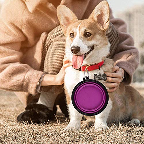 Large Collapsible Dog Bowls, 34oz Travel Water Food Bowls Portable Foldable Collapse Dishes with Carabiner Clip, 2 Pack (Purple+Red) - color: 34oz-Purple&Red
