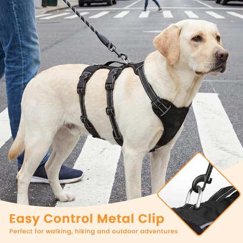 Escape Proof Dog Harness and Leash Set,Soft Padded Full Body Pet Harness, No Pull Reflective Adjustable Dog Vest with Handle, Easy Control Dog Harness for Medium Large Dogs Training Walking Running - color: Black, size: L