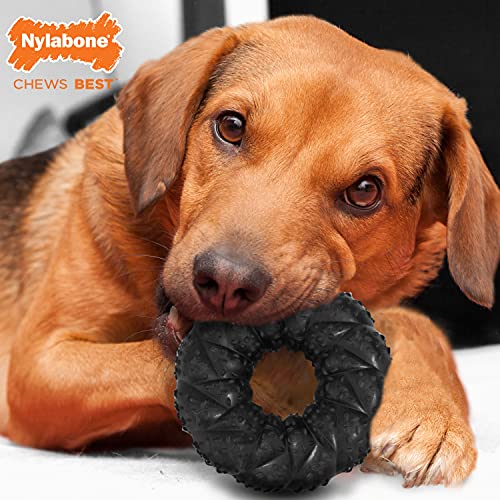 Nylabone Strong Max Chew Braided Ring Chew Toy for Dogs, Beef, Medium/Wolf - Up to 35 lbs. (1 Count) (Pack of 2) - size: Medium up to 35 lbs. (Pack of 2)