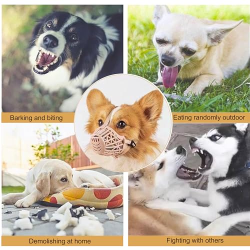 Classic Basket Dog Muzzle - Dog can Pant and Drink,Breathable Adjustable Padded Muzzle for Small Medium Large Dogs,Prevents Biting Barking and Chewing (Brown, 1#XXS) - color: Brown, size: 1#XXS